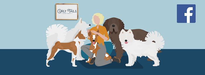 joint supplements for dogs