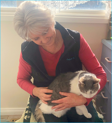 Cat receving bowen therapy