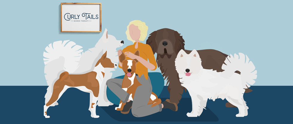 muscle treatment for dogs and cats